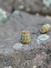 Load image into Gallery viewer, Tiny Basket