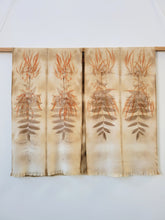 Load image into Gallery viewer, Ruana : Eucalyptus + Black Walnut