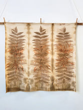Load image into Gallery viewer, Earthling Baby Blanket : Eucalyptus + Black Walnut
